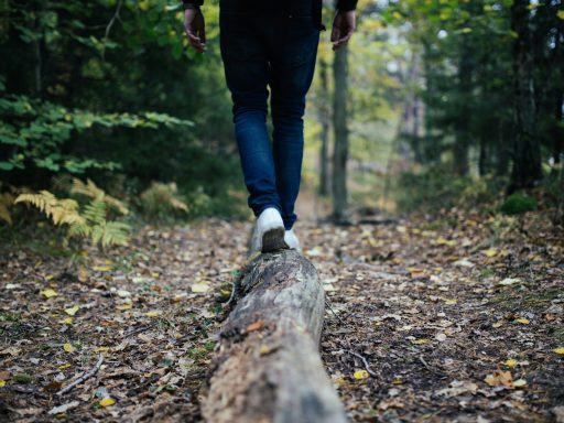 man walking on forest