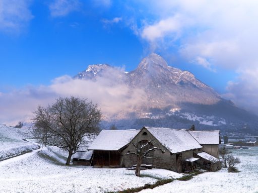 Traditionele Limburgse hoeve in een groen landschap, klaar voor renovatie