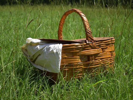 Rotan ligbed in een tuin met zichtbare schimmel en slijtage na het natte seizoen
