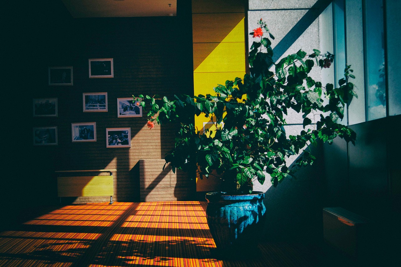 Kamerplanten als interieurstuk in een warm ingerichte woonkamer met gevlochten manden en plantentafels